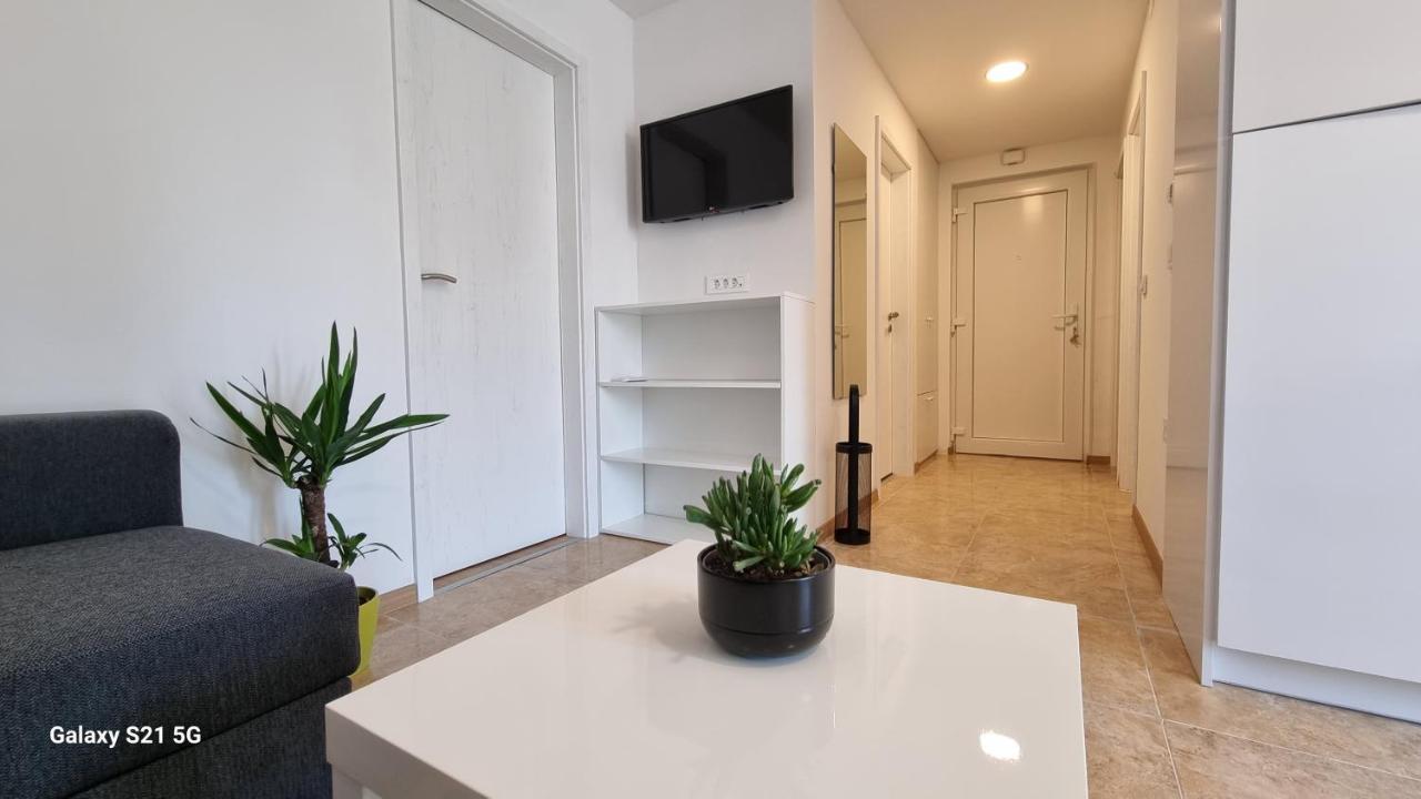 Apartment Rivarela Blu - Newly Renovated And Top Location Near Sea Novigrad (Istria) Exterior foto